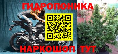 ПСИЛОЦИБИНОВЫЕ ГРИБЫ Гусиноозёрск