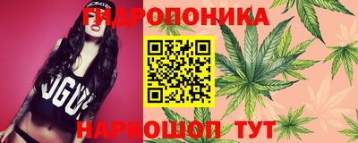 гашишное масло Гусев