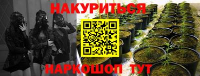 ПСИЛОЦИБИНОВЫЕ ГРИБЫ Гусиноозёрск