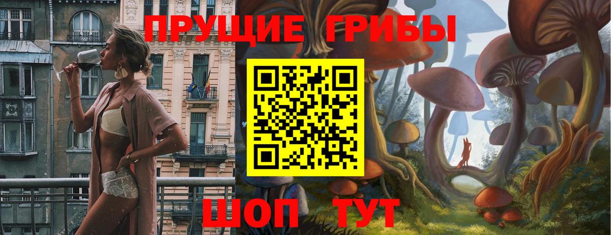Галлюциногенные грибы Psilocybine cubensis Нерюнгри